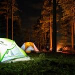 Norsk natur kultur
