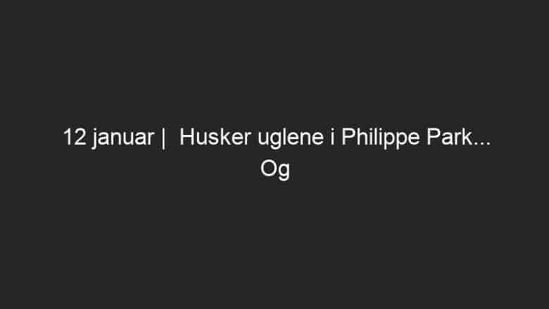 12 januar |  Husker uglene i Philippe Park… Og hva er det neste